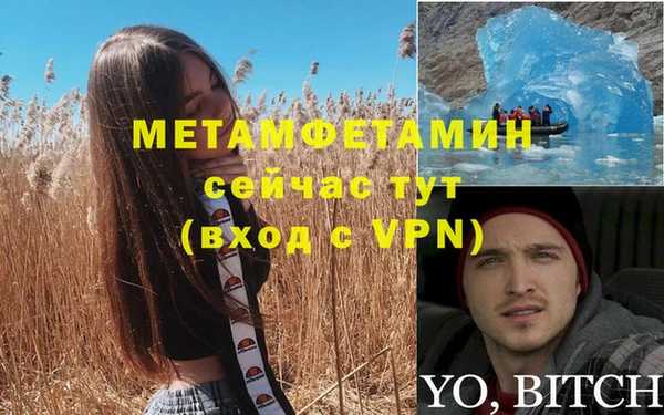 мет Алексин
